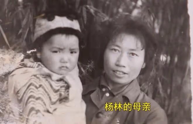 妻子誤入傳銷，將丈夫拉入組織後自己逃跑，丈夫被打成小腦萎縮