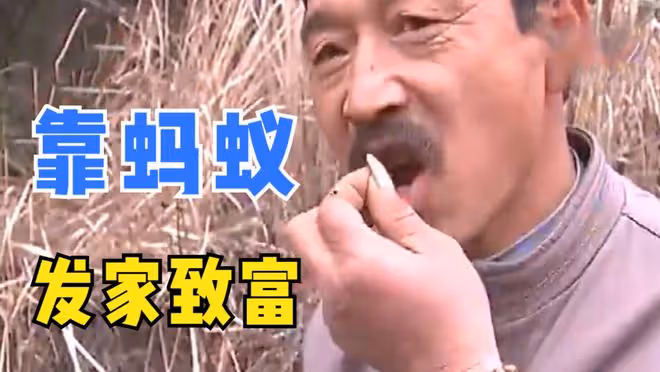 50歲男子不幹農活沉迷抓螞蟻,被村民嘲笑,沒想到他卻靠螞蟻致富