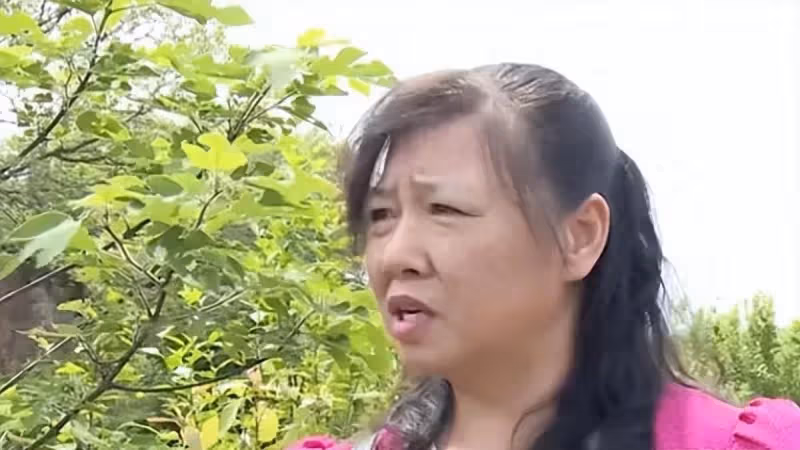 鳳凰男沖老婆怒吼：「我養我家5口人，你養父母，那誰養孩子？」
