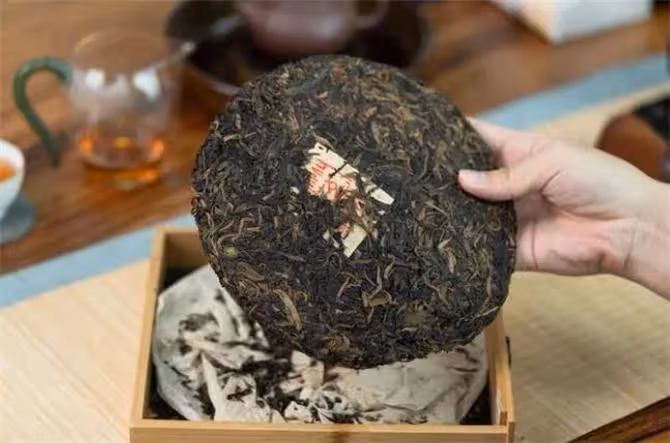 普洱屬於什麼茶？六大茶類中有它的位置嗎？到底是黑茶還是綠茶？