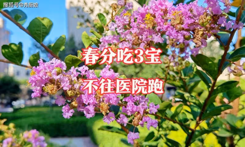 3月20日春分，老人說「春分吃3寶，不往醫院跑」，指啥？該咋吃？
