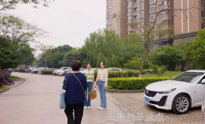 《小日子》:看懂張善亞主動道歉,才明白朱勁草復婚無望