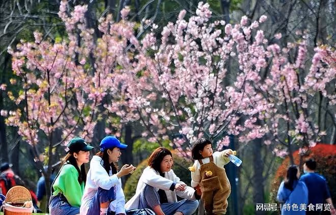 3月20日春分,老傳統有3習俗要做,寓意:冬去春來,迎春接福