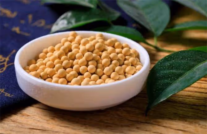 大豆、毛豆、黃豆到底有什麼區別？豆類古代為什麼稱作菽？