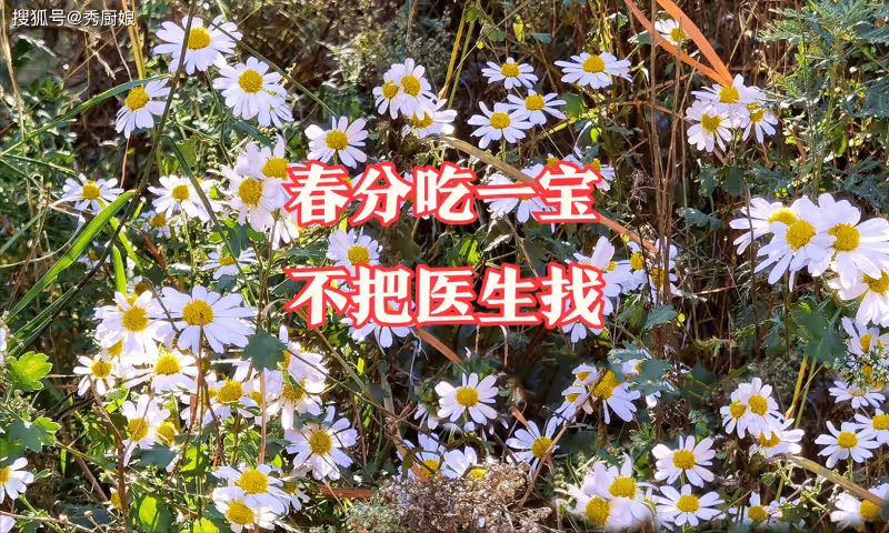 老人說「春分吃一寶，不把醫生找」，這「1寶」指的啥？怎麼吃？