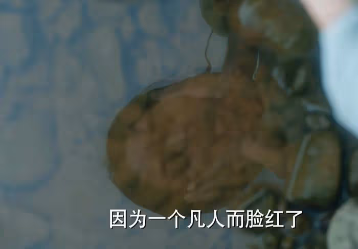 《與鳳行》首播!趙麗穎林更新難掩年齡感,劇情幼稚收視平平