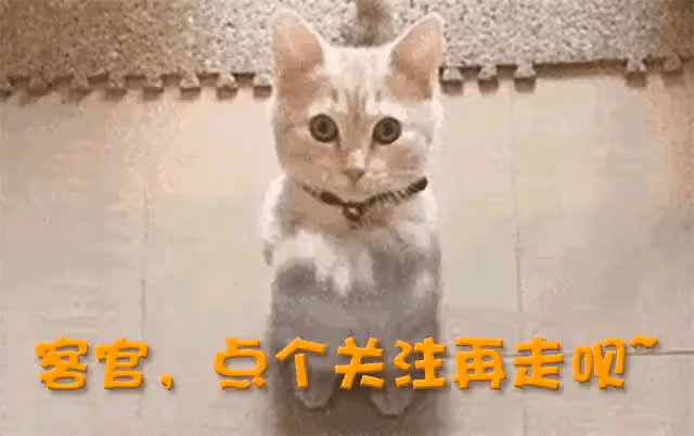 追求這三個星座女需要五年時間