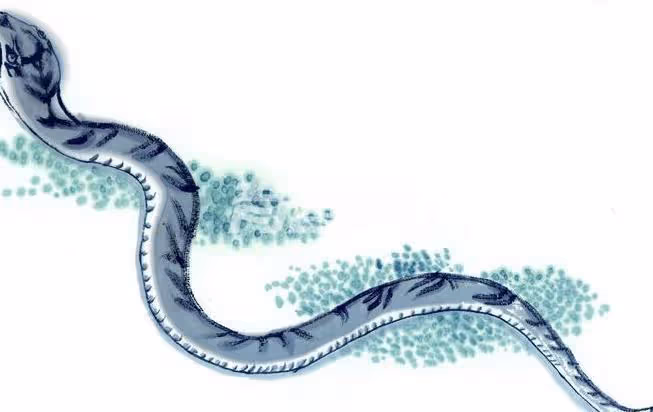 下元節過後，鹹魚翻身的4大生肖，財運不斷，桃花不斷，有你嗎？