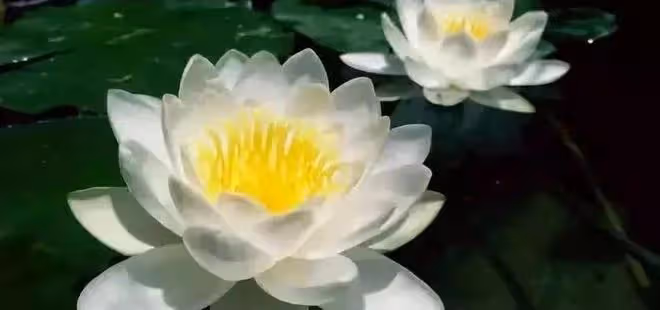 人活著，少說這七句話！