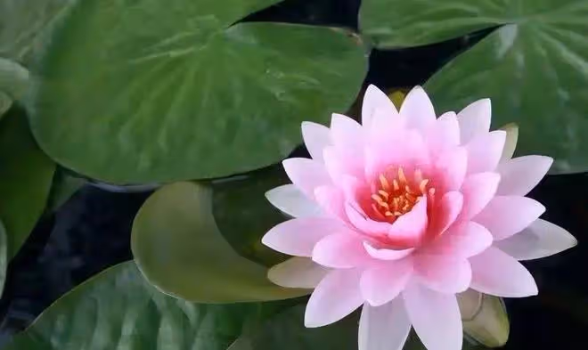 人活著，少說這七句話！