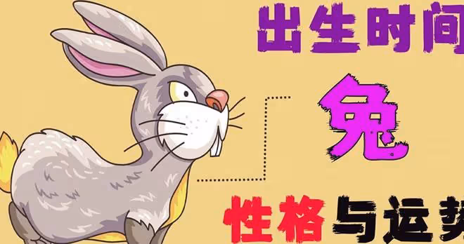 生肖兔每月出生的秘密揭曉，你願意相信嗎？尤其是63、75、87年