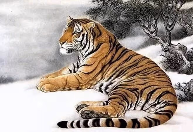 2024年中貴人多，小人少，遇見困難不發愁，總有錢賺的四生肖