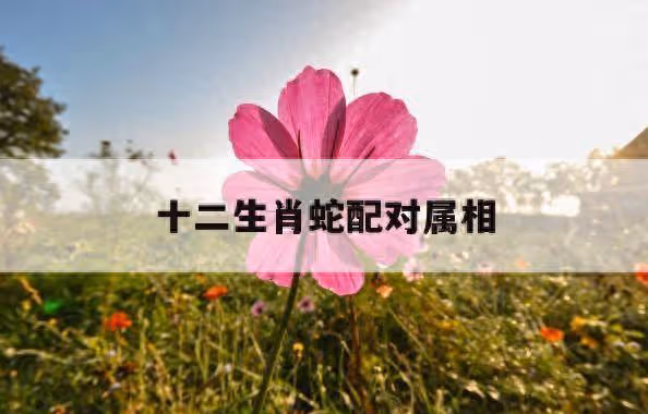 生肖蛇與十二生肖絕佳婚配,揭秘完美愛情密碼