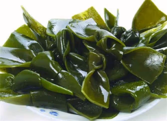 海帶屬於海鮮嗎?我們經常吃的海帶,到底是植物還是動物?