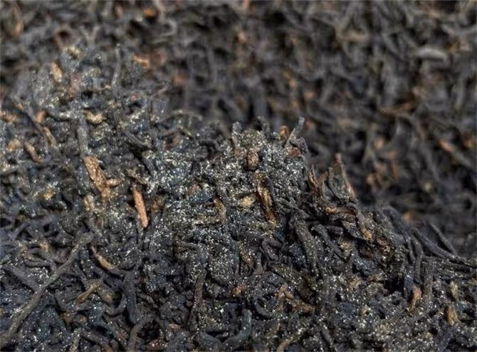 六堡茶屬於什麼茶？巧喝六堡茶去除身體濕氣，但是你要這麼泡