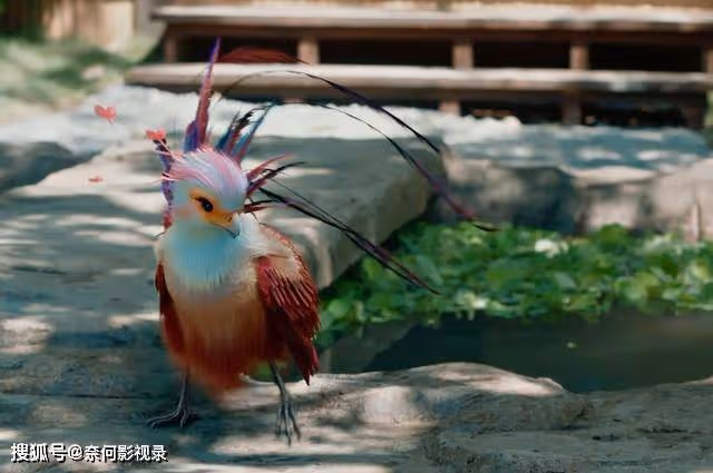 好傢夥!《與鳳行》才播4集就差評如潮,觀眾的差評理由出奇一致