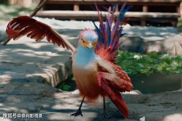 好傢夥!《與鳳行》才播4集就差評如潮,觀眾的差評理由出奇一致