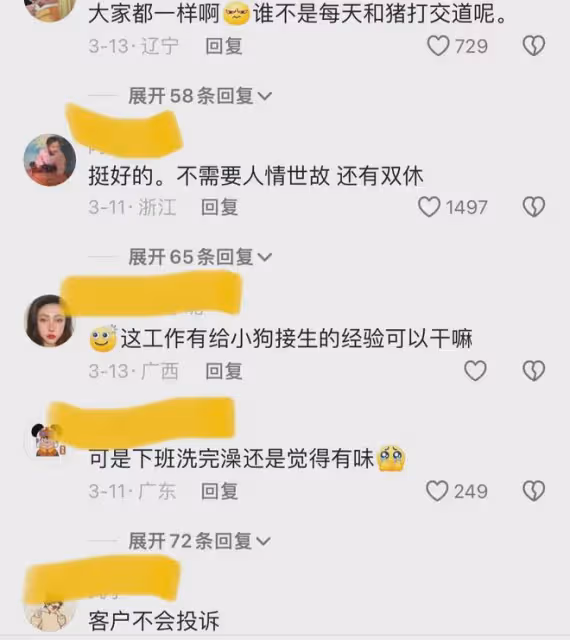 95後高顏值女大學生去養豬，女孩：月薪只有五千，但像夢一樣自由