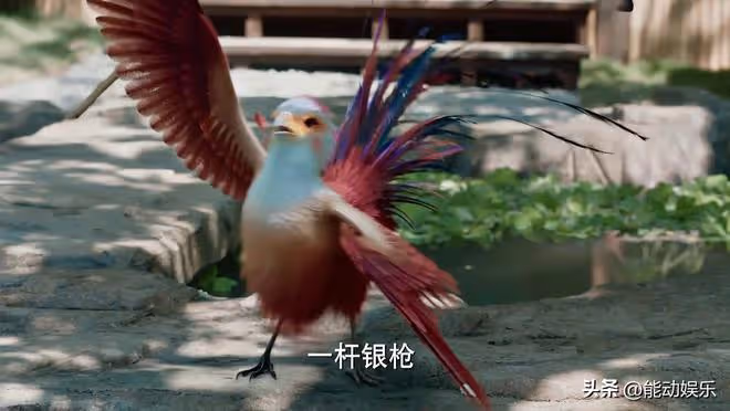 被《與鳳行》首播笑死，差評不是女主年齡太大，而是劇情離譜太多