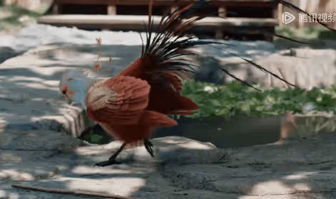 被《與鳳行》首播笑死，差評不是女主年齡太大，而是劇情離譜太多