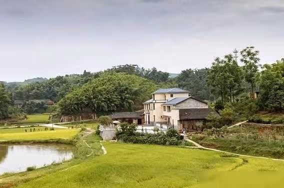 丈夫出軌八年，媳婦不吵不鬧，當婆婆生病住院，媳婦反擊讓他後悔