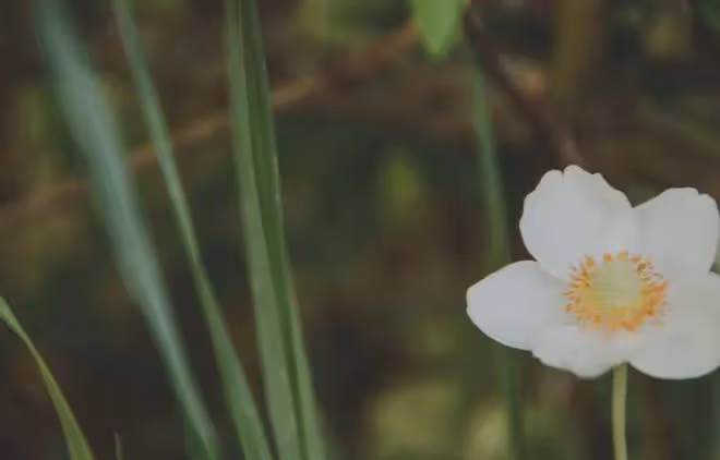 一個家庭，祖上有沒有德，看「孩子」就知道