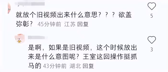 凱特王妃又P圖?聖誕節木屋背景露餡,外媒視頻被扒是去年存貨