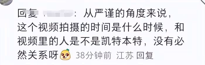 凱特王妃又P圖?聖誕節木屋背景露餡,外媒視頻被扒是去年存貨