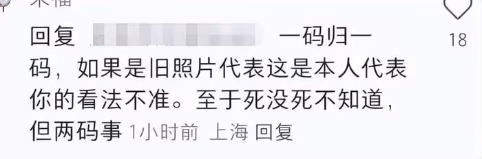 凱特王妃又P圖?聖誕節木屋背景露餡,外媒視頻被扒是去年存貨