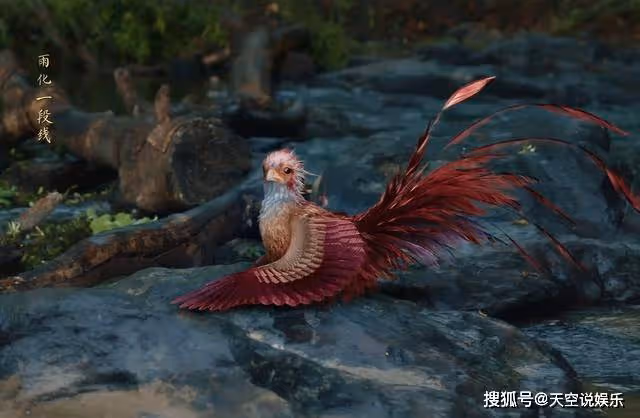 《與鳳行》第一集就被看光!碧蒼王的一世英名,全毀在行雲手裡了