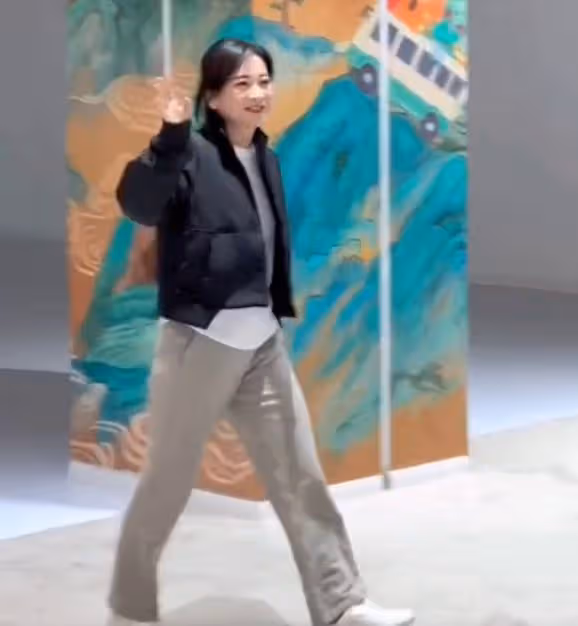 賈玲現身美國,卻遭到無數惡意,她像極了曾經的吳京!