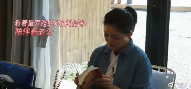 大S控汪小菲家暴　她最愛看的《哈利波特》淪兇器
