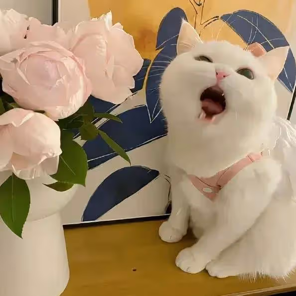 天生綠茶的五大星座女~