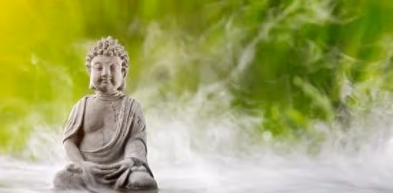 最長壽有福的五大生肖，子孫孝順，無病無災，衣食無憂，讓人羨慕