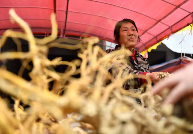 始於明清！中國小鎮春分「趕分社」　賣耕具更賣草藥