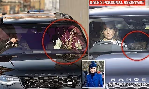 凱特王妃失蹤案：從手術到修圖，英王室到底發生了什麼？