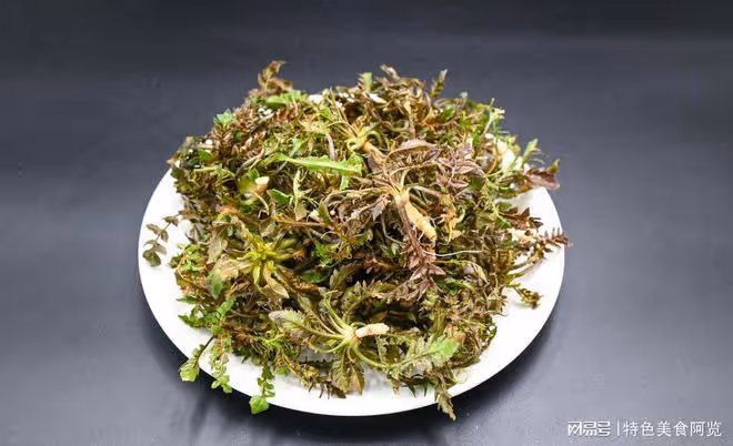 嫩綠碧玉,口感豐盈的薺菜炒雞蛋,帶你領略春日獨特美味!