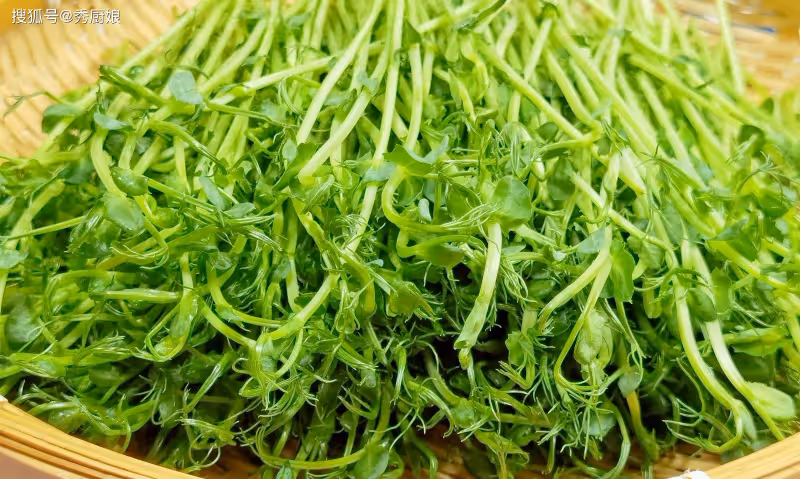 「春吃鹼,火氣減」,春天多吃這3菜,吃的香睡的好,腿腳有勁!