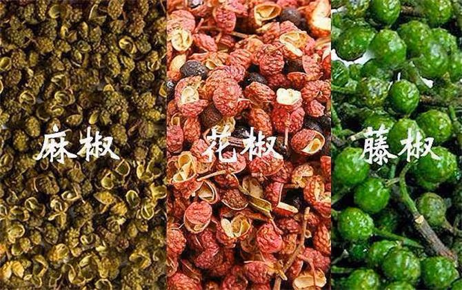 藤椒是麻還是辣?花椒、麻椒和藤椒,三者各有什麼味道?