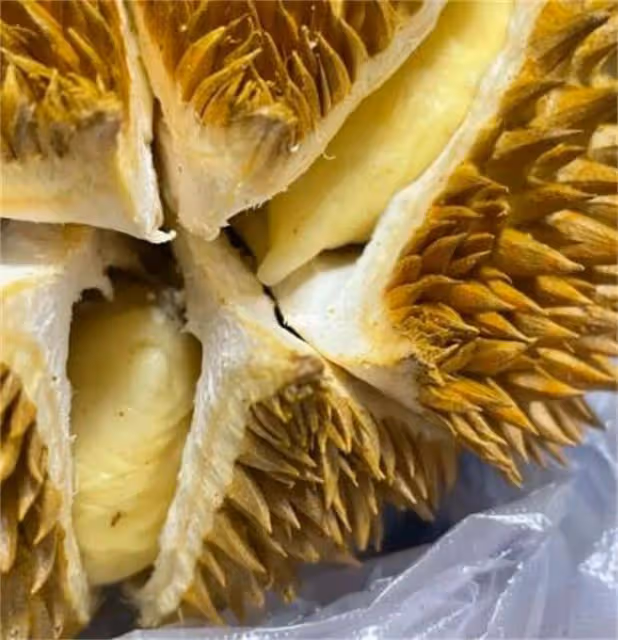 不管多難開的榴槤,找准一個位置,不傷果肉不扎手,輕鬆開榴槤