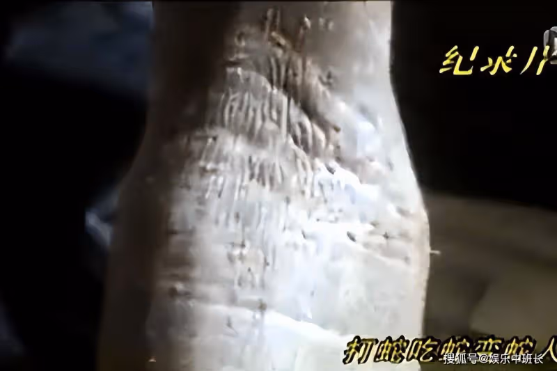 遼寧男子吃蛇竟然變「蛇人」,身上長出鱗片,蛇肉究竟能不能吃?