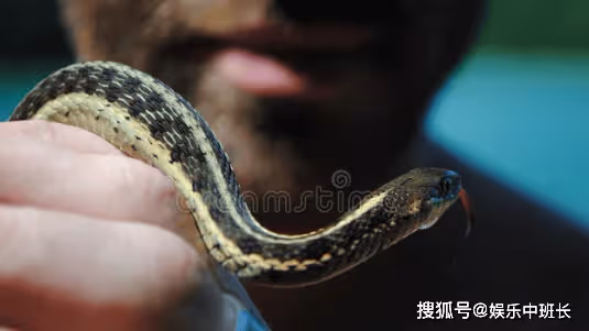 遼寧男子吃蛇竟然變「蛇人」,身上長出鱗片,蛇肉究竟能不能吃?