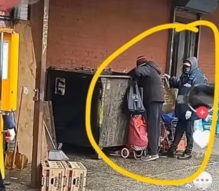 吃中國飯卻親美辱華，寧願撿垃圾也不回國的呂麗萍？如今悄悄回來了