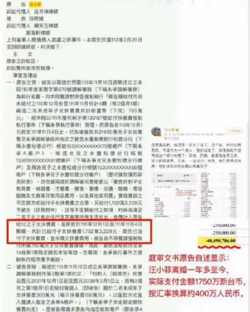 張蘭S媽隔空宣戰!大S被控重婚、造假恐坐牢,大S方回應惹爭議!
