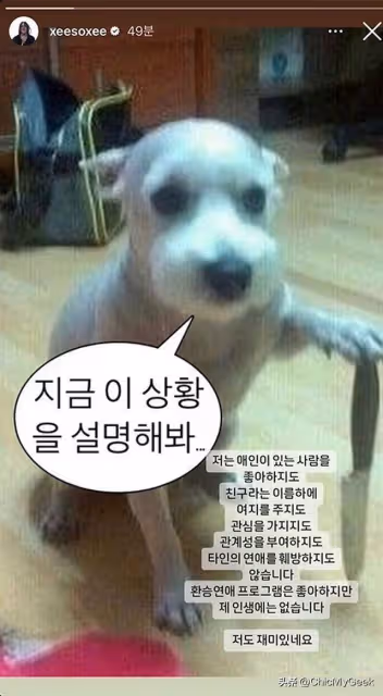 韓媒分析韓韶禧、柳俊烈、惠利感情事件,三人各自付出慘痛代價!