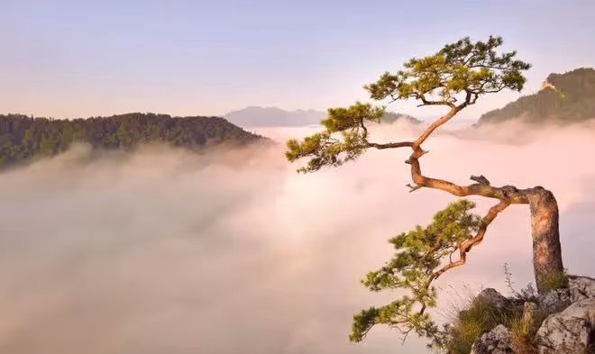 男女相處，若是真心，表現會有些「過分」