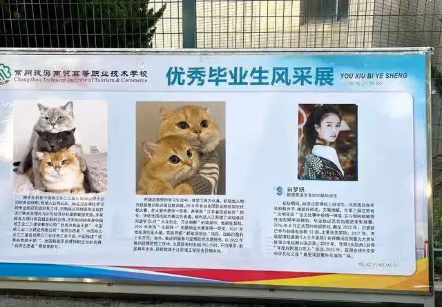 白鹿昔日和服寫真露大美腿太妖艷!曾經爭議言論又被挖出