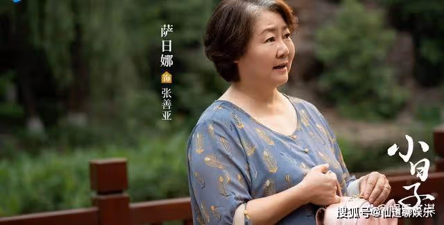 《小日子》張善亞離婚逆襲攝影家，顧茉莉公開家暴視頻，朱大力絕了