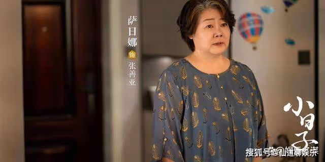 《小日子》張善亞離婚逆襲攝影家，顧茉莉公開家暴視頻，朱大力絕了