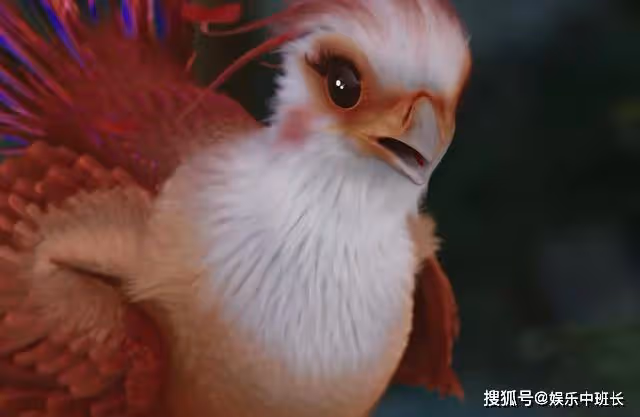 《與鳳行》連做飯都是一種視覺享受!咯咯噠的花痴,是有原因的